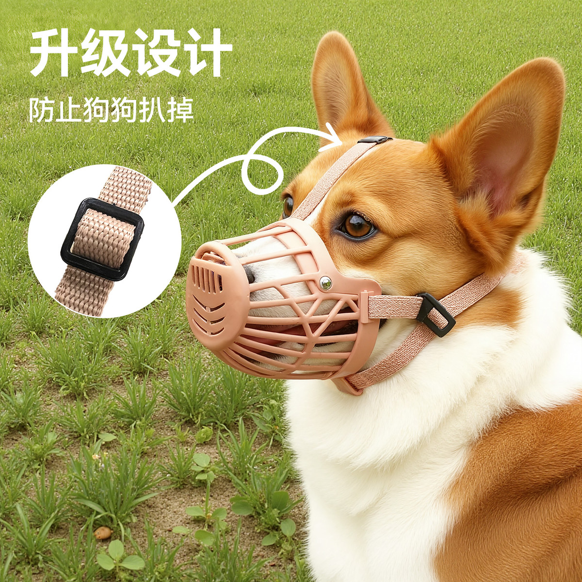 狗狗柯基用品