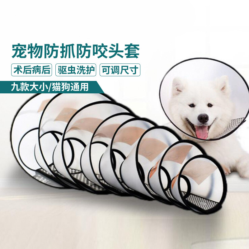 柒哦 伊丽莎白圈狗狗猫咪项圈头套防舔防水耻辱圈绝育利莉沙白猫咪用品