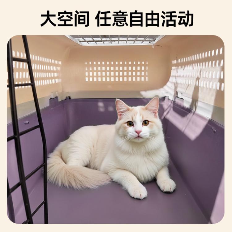 商品缩略图 5