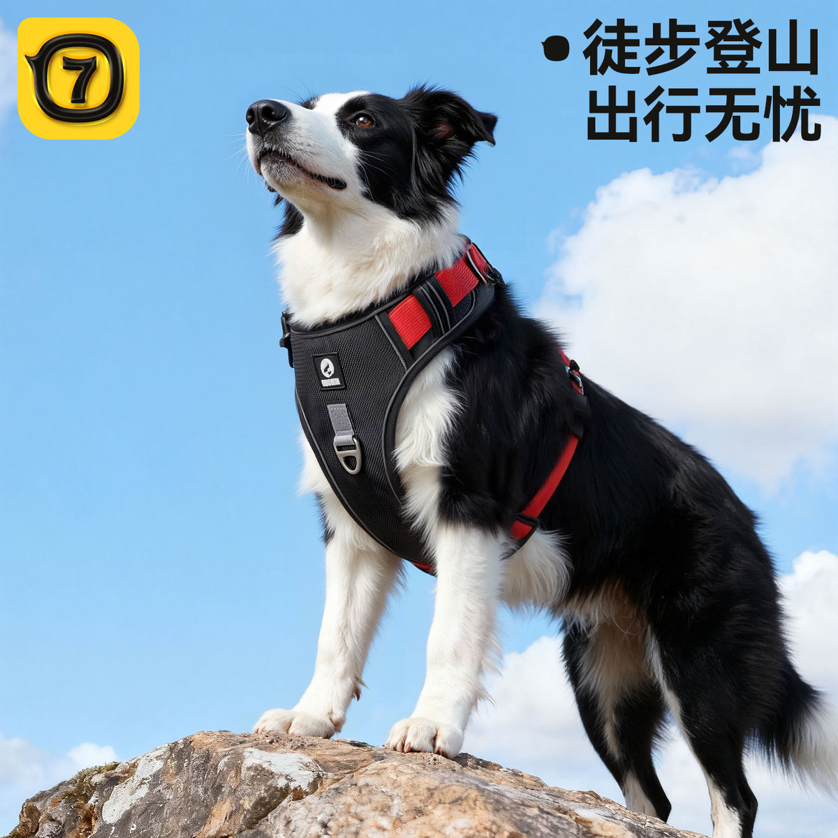 商品缩略图 1