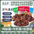 滇品客 农科院云南特产菌子零食即食鸡枞小包山珍菌香菇解馋小零食下饭菜