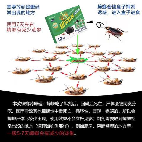 Poemoon 蟑螂药一窝端无毒家用强效商用强力灭虫药特效厨房高效去蟑螂诱饵 图片 2