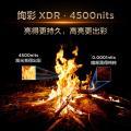 TCL 电视 Q9L Pro QD-Mini LED蝶翼星曜屏万象分区55/65/75/85/98英寸 图片 6