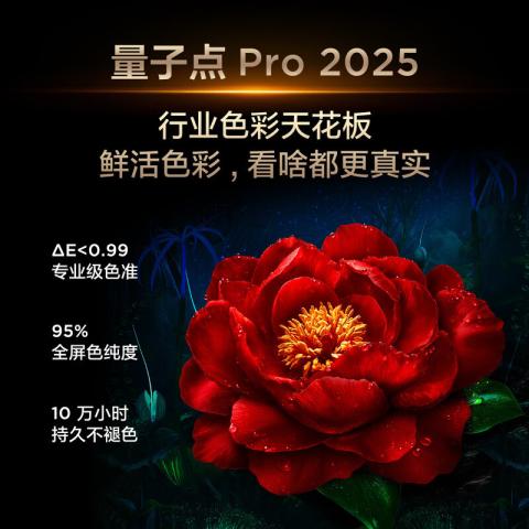 TCL 电视 Q9L Pro QD-Mini LED蝶翼星曜屏万象分区55/65/75/85/98英寸 图片 7