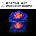 TCL 电视V8L Pro 85/75/65/55/50英寸 144Hz QLED量子点 图片 5