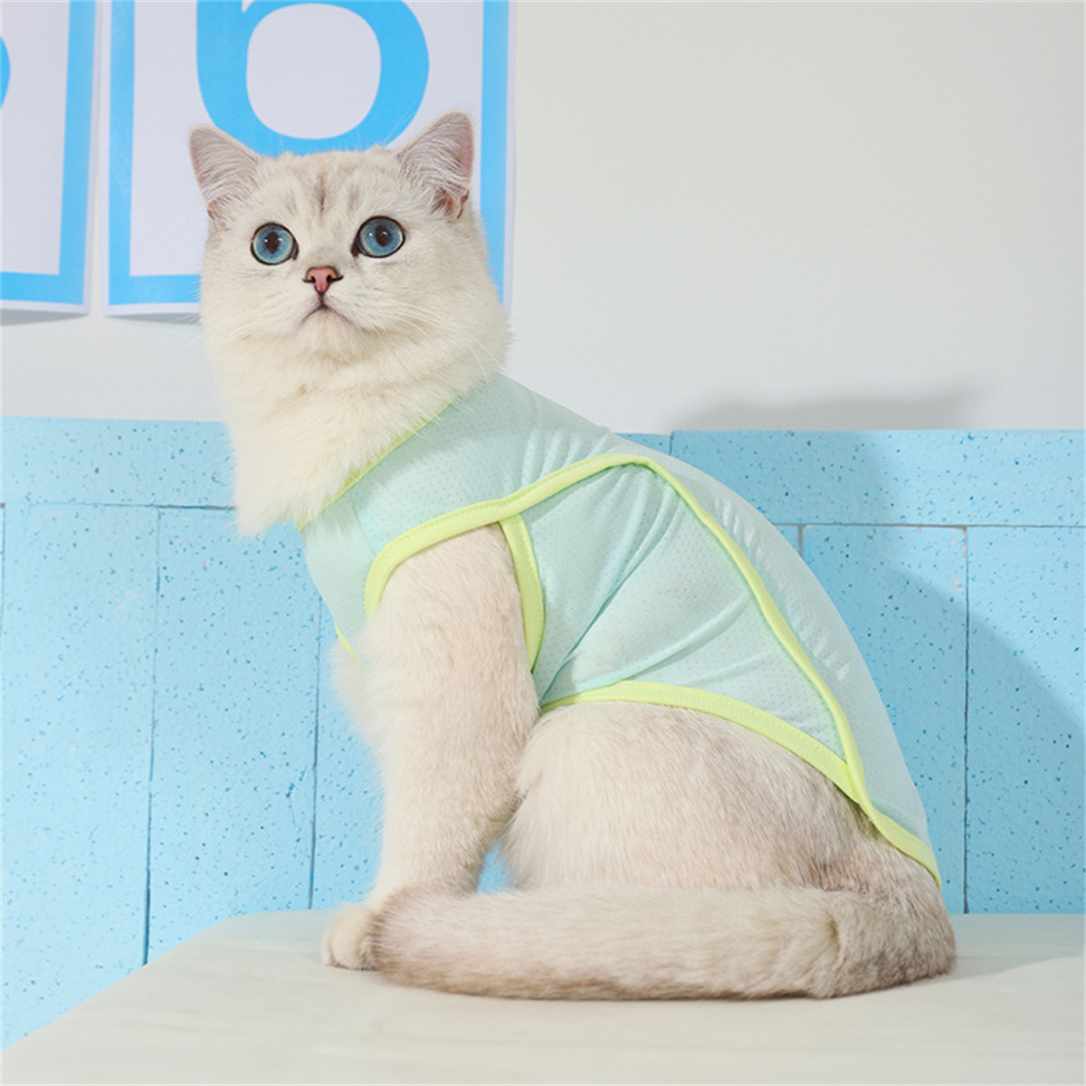 HOOPET 猫咪衣服防掉毛夏季薄款布偶猫狗狗夏天小猫宠物幼猫防晒猫猫背心