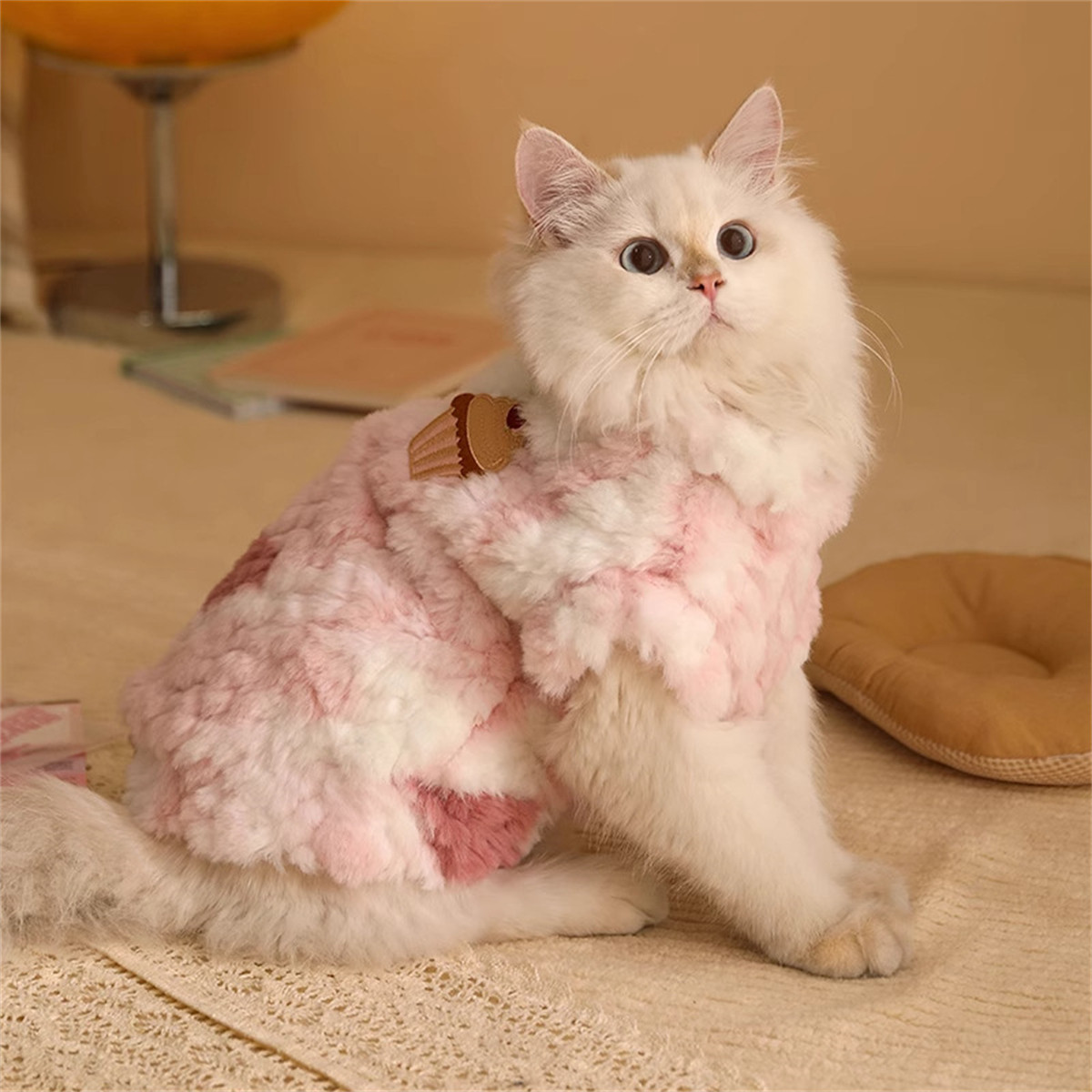 HOOPET 猫咪衣服冬季防掉毛布偶猫幼猫英短宠物小猫冬天保暖的猫猫秋冬装