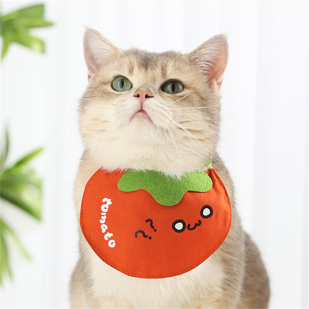 HOOPET 猫咪围脖可爱口水巾夏季猫猫幼猫银渐层围兜配饰衣服春秋宠物围巾