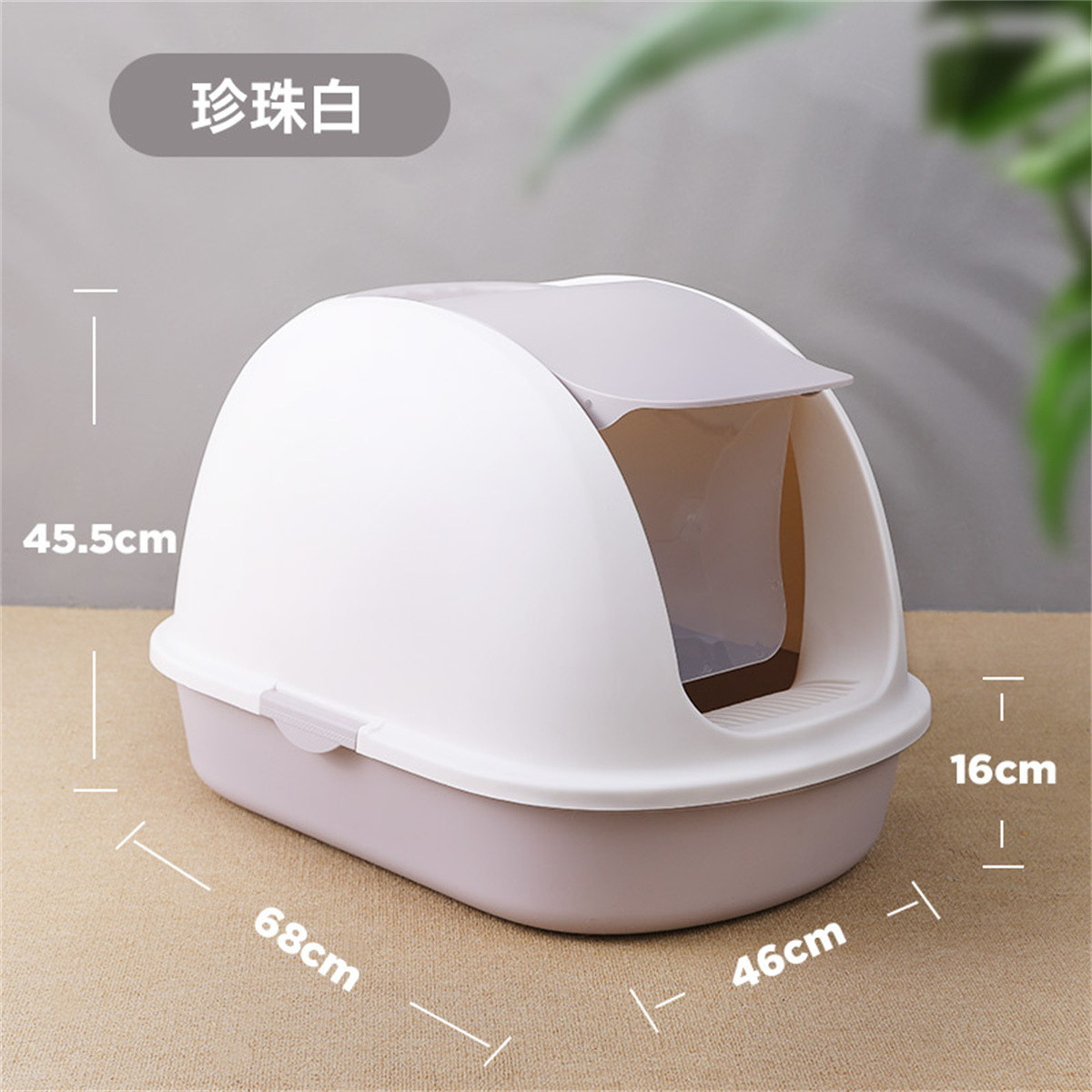 超大号猫咪用品