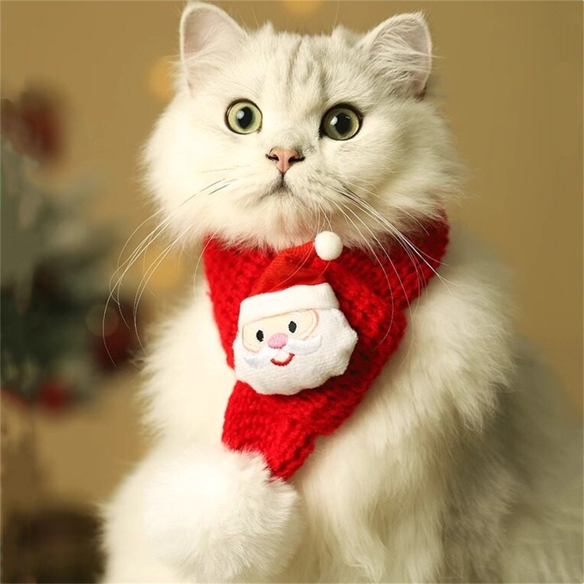 HOOPET 猫咪衣服宠物围脖布偶项圈猫猫帽子小猫秋冬装饰冬季狗狗围巾圣诞