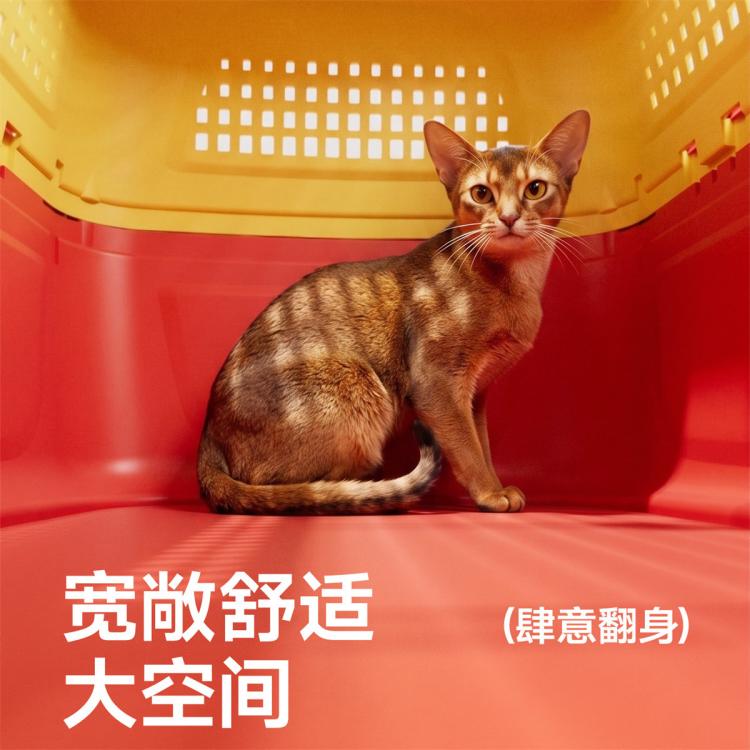 商品缩略图 5
