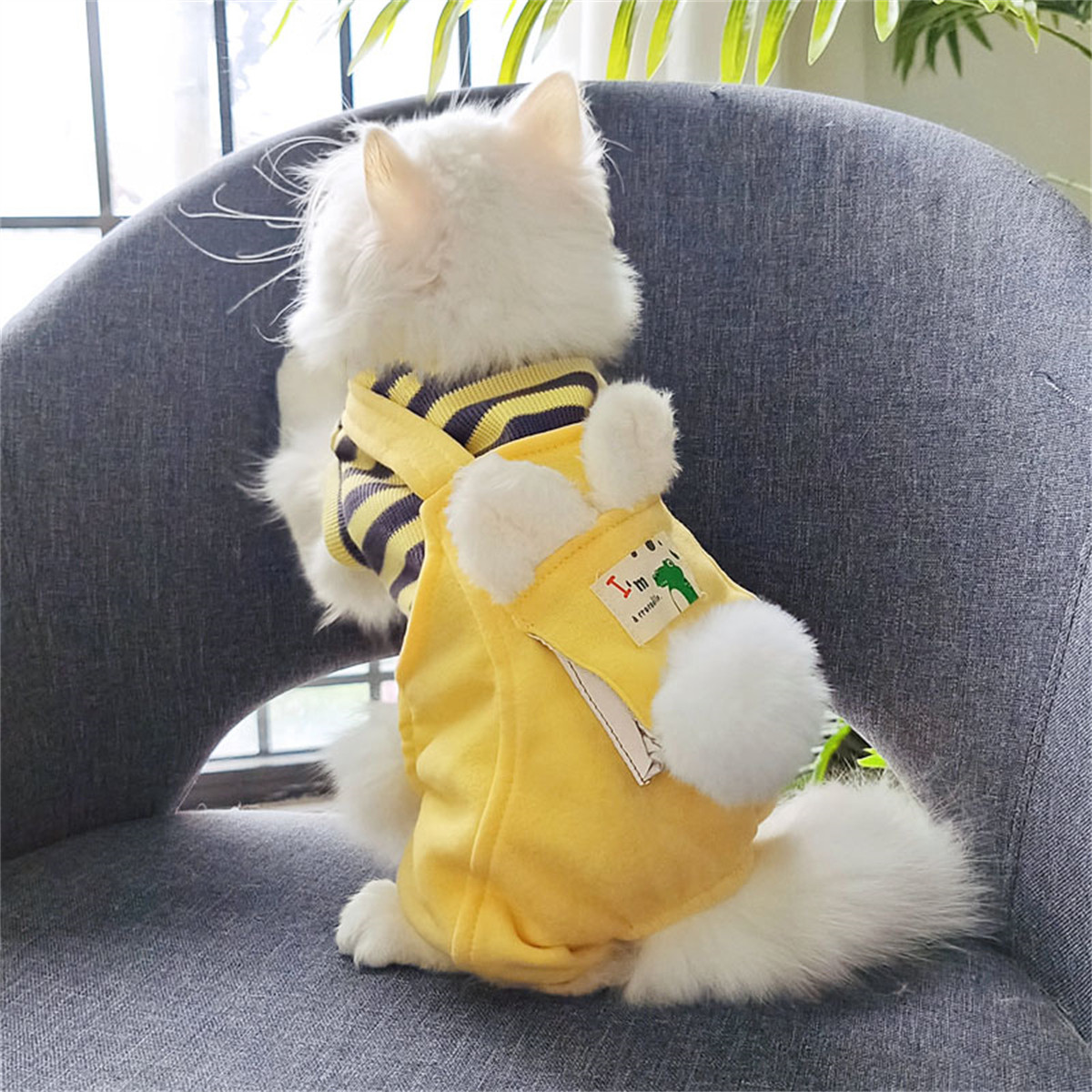 HOOPET 猫咪衣服冬装猫猫冬天保暖防掉毛幼猫布偶德文宠物小猫加厚保暖衣