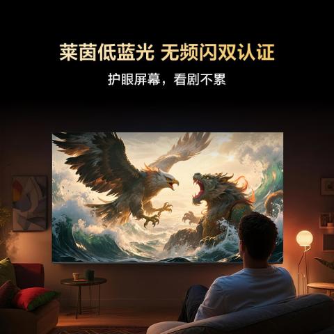 TCL 雷鸟32寸43寸液晶智能电视 雷鸟雀4 2025款 图片 8