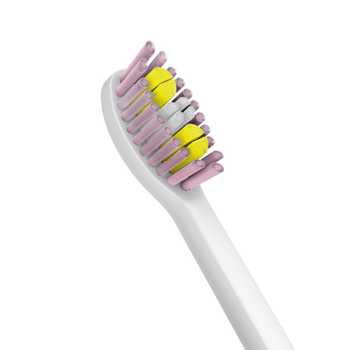 力博得孕期专用(t203510f40)只能声波清洁充电式孕妇电动牙刷