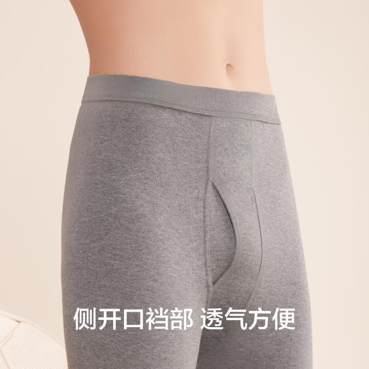 红豆 【柔软100%棉】2条纯棉秋裤男打底棉毛裤薄款中腰男士保暖裤