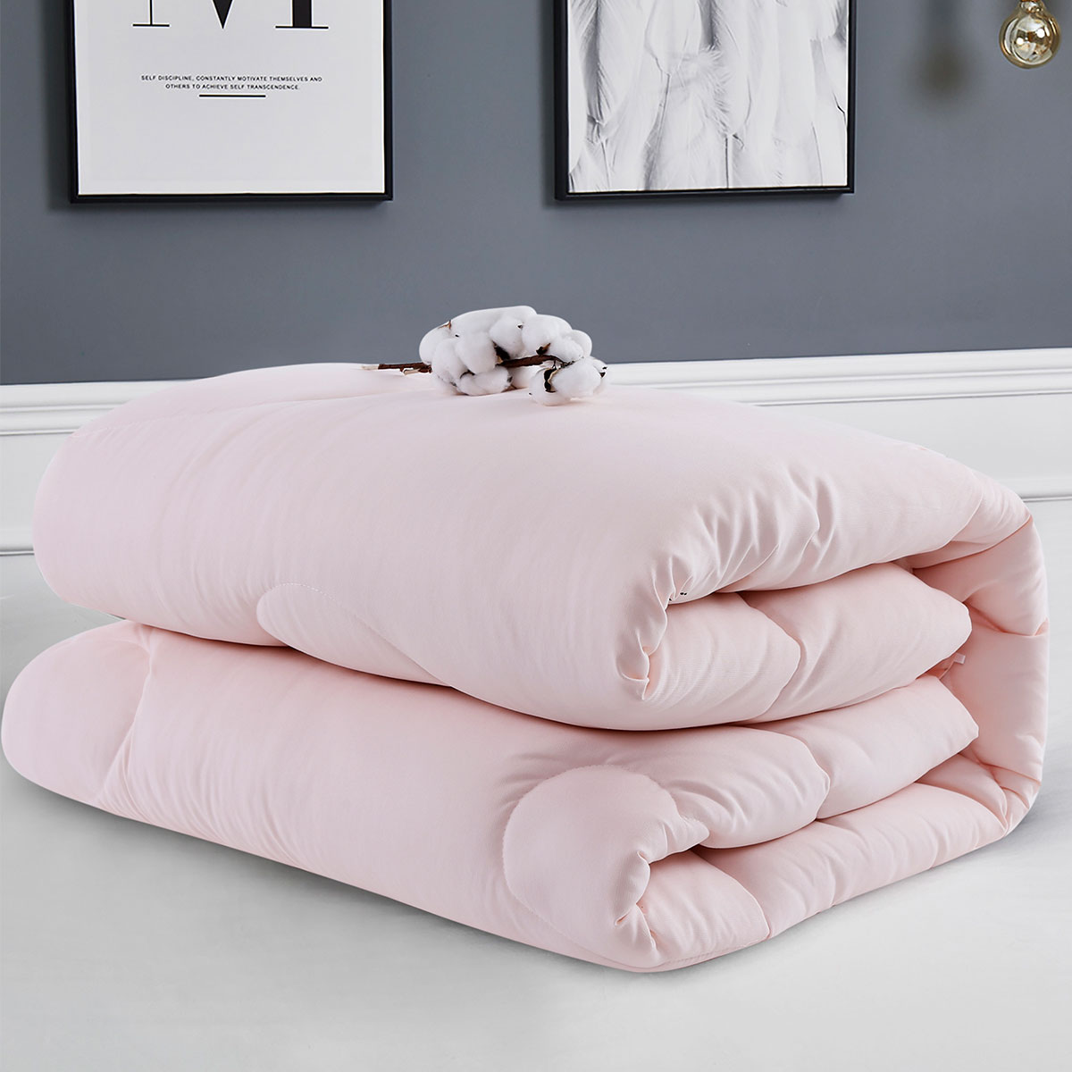 (6斤装)超柔磨毛手感柔软亲肤冬被保暖加厚羽丝绒被子被芯