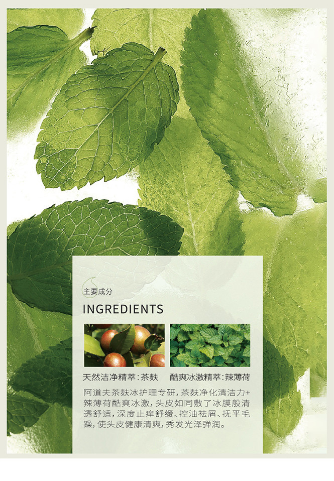 阿道夫茶麸新品沐浴露洗澡沐浴乳沐浴液滋润持久留香300ml