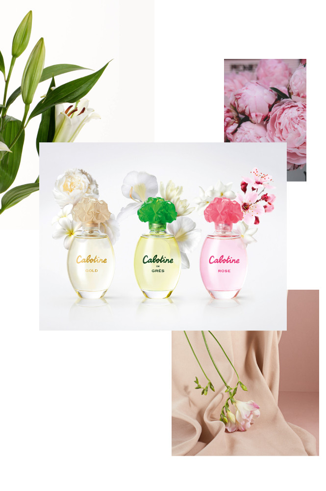 cabotine 歌宝婷 粉红佳人女士香水 edt 30ml 女性香水