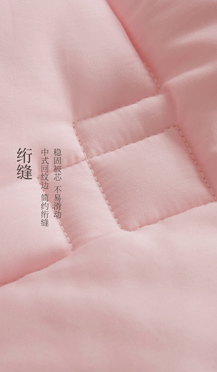 60支全棉长绒棉面料贡缎刺绣冬被典雅绣花加厚保暖羽丝绒被芯