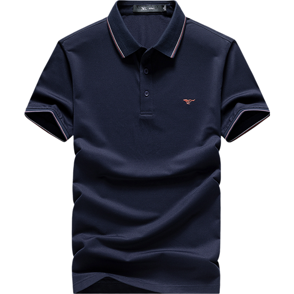 ƥ ɣ˿ ļٴpolo108Ԫ