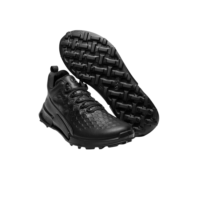 ���������100���ƾ��ͬ���ЬBIOM����2.1��Ь822894