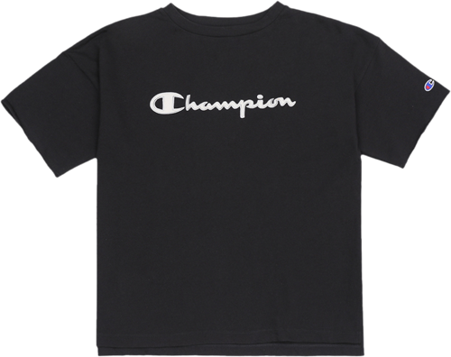 Champion ʽ΢ճͨѧԺٴT106Ԫ