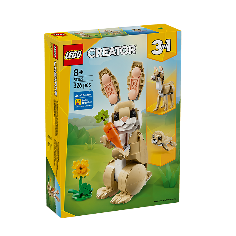 ָ ľƴٴ31162ɰӶͯ8