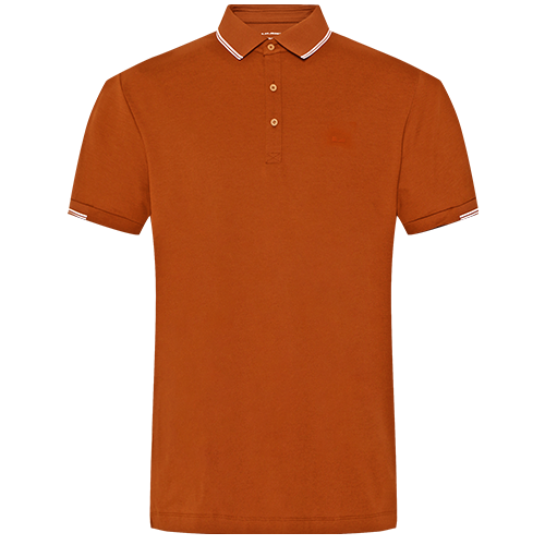 ܡļײɫ¼ԼͨʽPolo179Ԫ