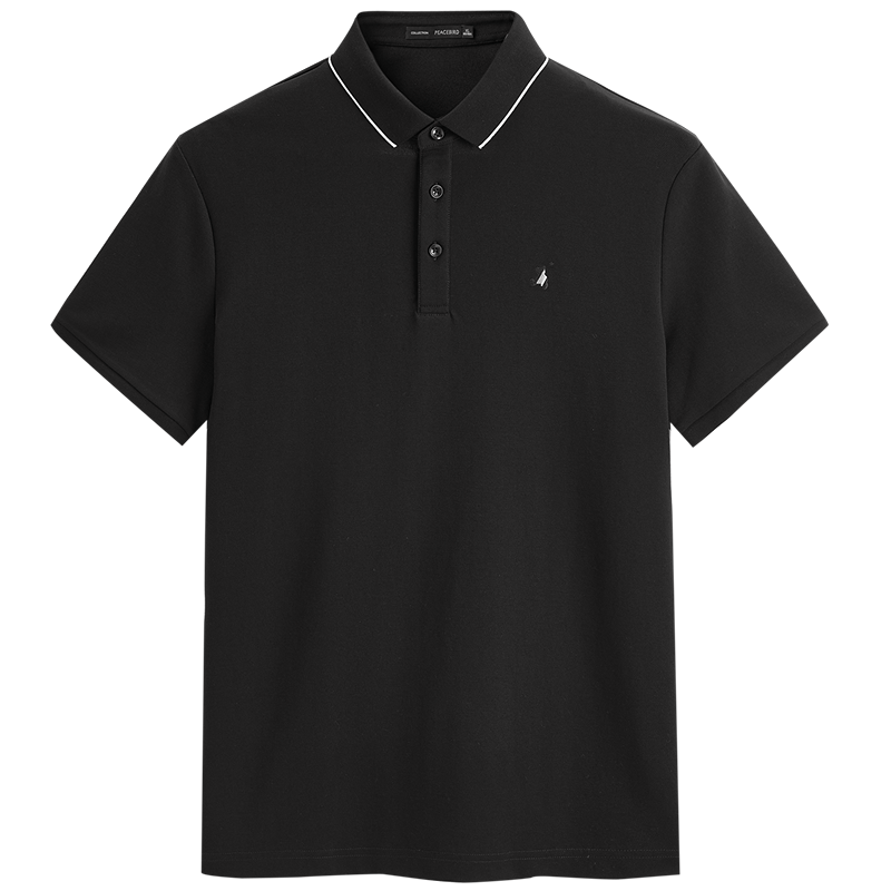 ȡװĿذؿڴtʽPolo179Ԫ