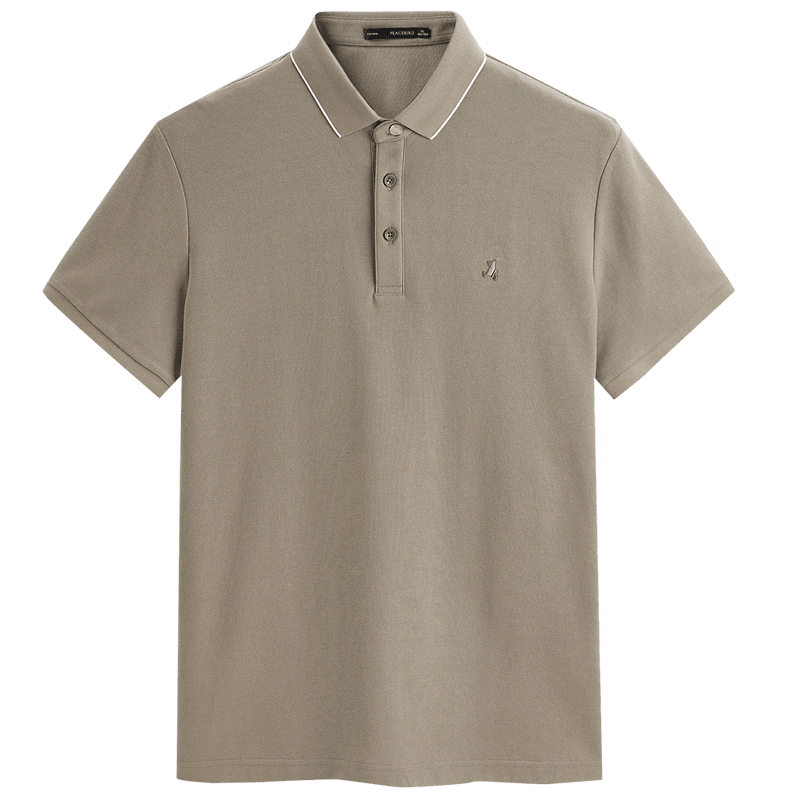 ȡװĿذؿڴtʽPolo189Ԫ