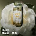 Babycare 【全新金山茶组合装】花苞山茶轻柔纸尿裤尿不湿NB-XL 图片 4