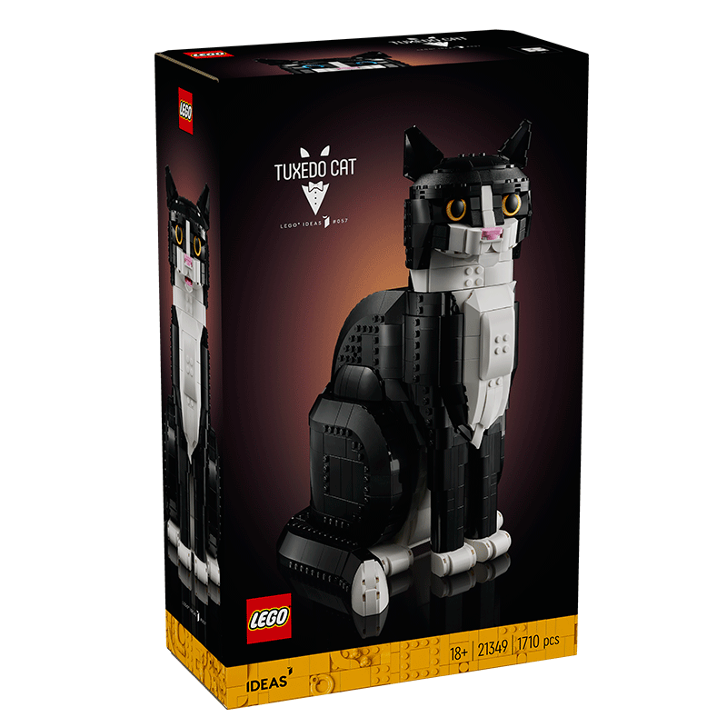 ָ ʥľƴ21349βè18ղ 499Ԫ(ȯ)