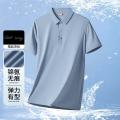 德尔惠 【冰皮裸感】冰丝无痕工艺运动Polo衫男秋季男式商务休闲短袖 图片 1