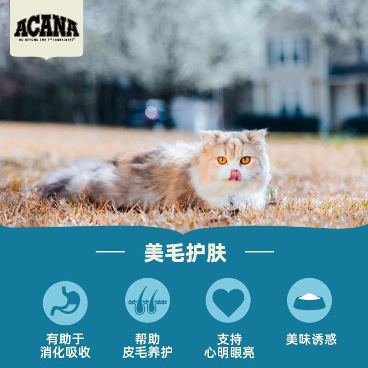 商品缩略图 6