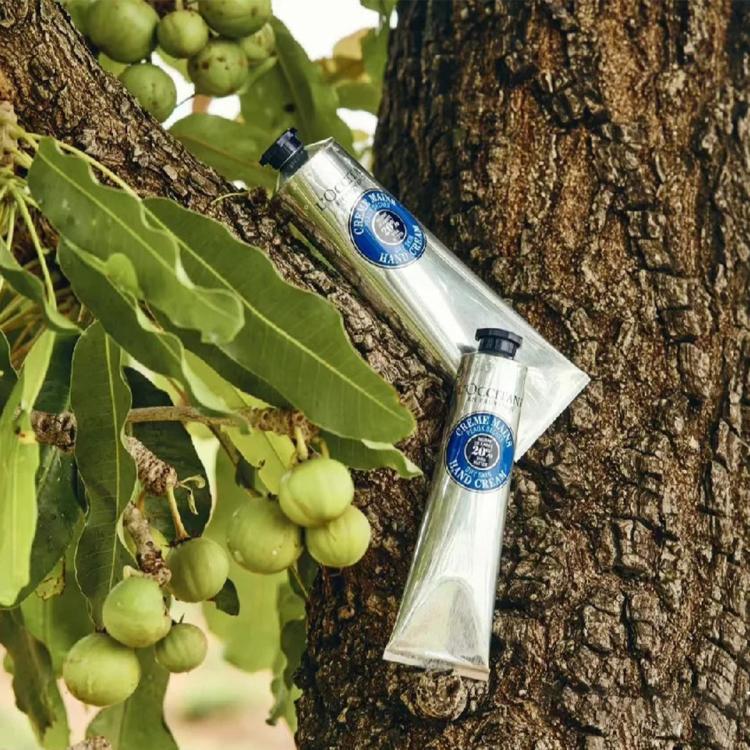 L'OCCITANE 乳木果经典护手霜20%乳木果油浓度 深层滋润