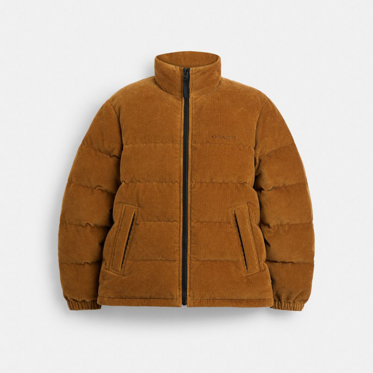 COACH 蔻驰/男款拉链立领长袖羽绒服外套