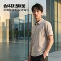 德尔惠 【重磅棉面料】男士简约百搭短袖POLO衫夏季日常通勤翻领T恤 图片 4