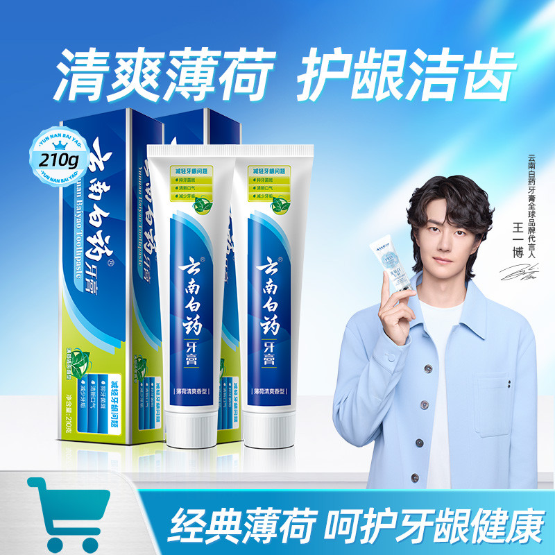 云南白药 【经典护龈】改善牙龈问题清新口气薄荷清爽香型牙膏210g*2
