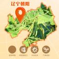 燕之坊 【顺丰发货】有机草原小绿豆1kg+百合冰糖 夏季消暑汤粥原料 图片 3