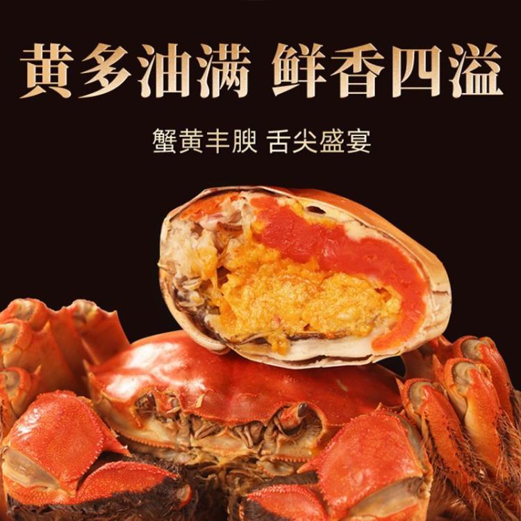 蟹太太 大闸蟹礼券公4.0两 母蟹3.0两4对装蟹卡教师中秋礼物礼盒 图片 6