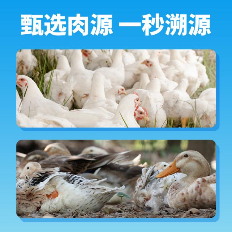 商品缩略图 5