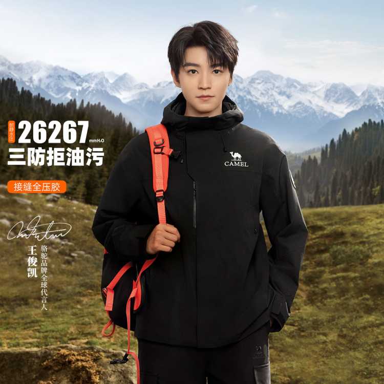 ���� ���������߿���ICONץ���ڵ��������׵�ɽ��������һ����� 487Ԫ