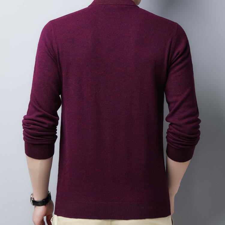罗蒙 【口碑推荐】羊毛衫男100%羊毛半高领毛衣男半高领男士羊毛衫