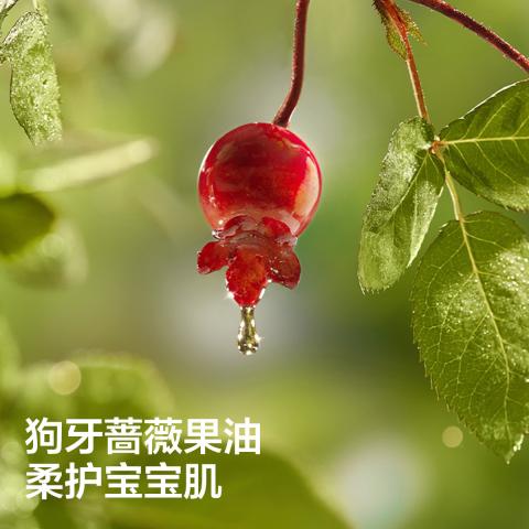 Babycare 【手口湿巾】婴儿手口湿巾成人可用湿纸巾带盖宝宝纸巾套装 图片 4