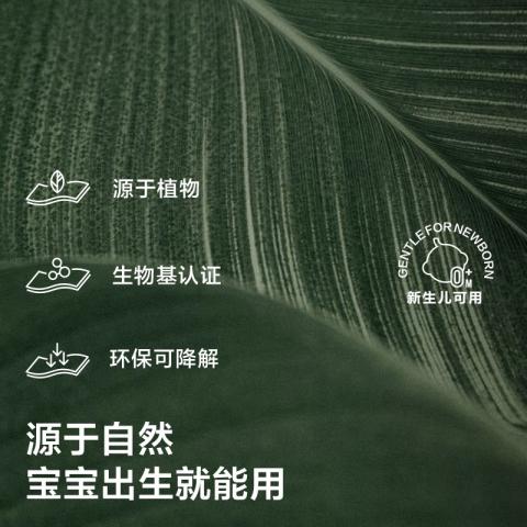 Babycare 【出行便携装】婴儿手口湿巾加厚湿纸巾小包迷你装6抽*24包 图片 6