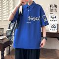 德尔惠 【宽松版型】运动polo衫秋季男式高级感时尚潮牌翻领短袖T恤 图片 1