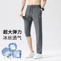 德尔惠 【爆款冰皮裤】春秋薄款宽松空调运动裤子男式垂感直筒冰丝休闲裤 图片 1