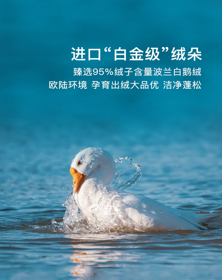 波兰进口95大朵白鹅绒可水洗防钻绒夏被春秋被空调被夏凉被
