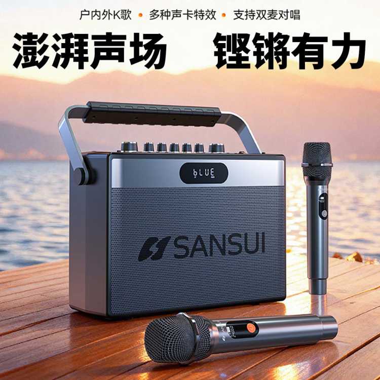 山水 G205pro广场舞音响户外k歌重低音便携式手提U盘蓝牙音箱