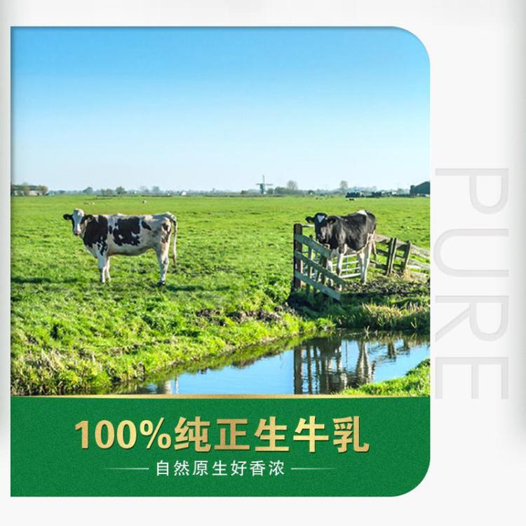 蒙牛 蒙牛纯牛奶全脂灭菌乳利乐包250mlx24盒 图 5